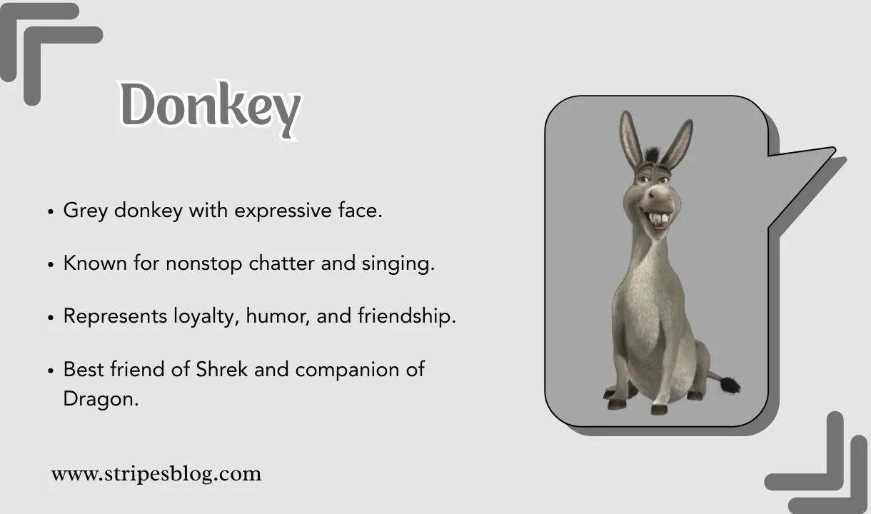 donkey facts