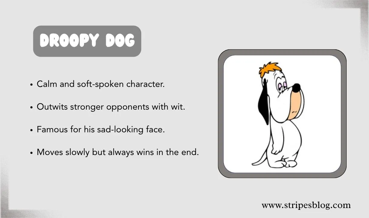 droopy dog facts