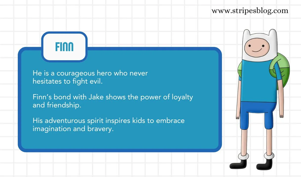 finn facts