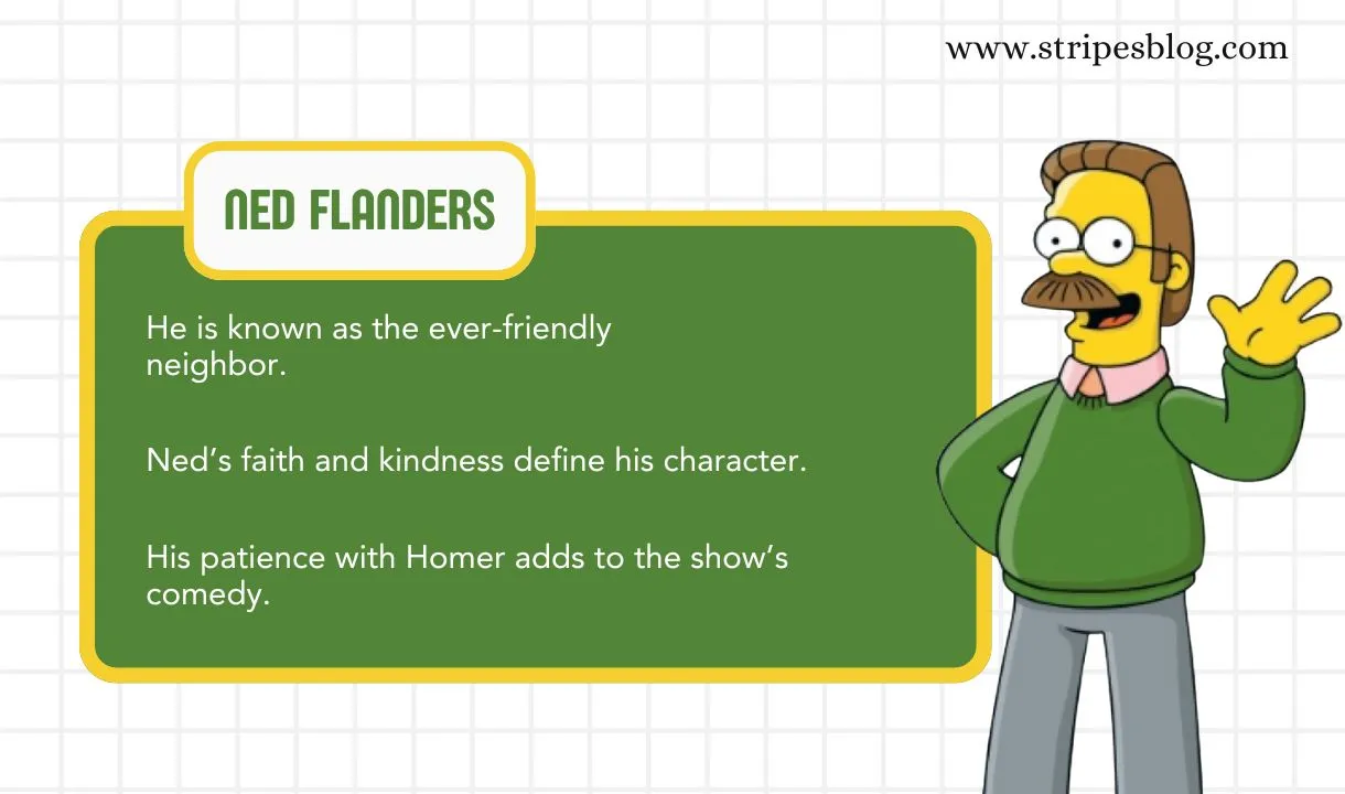 ned flanders facts