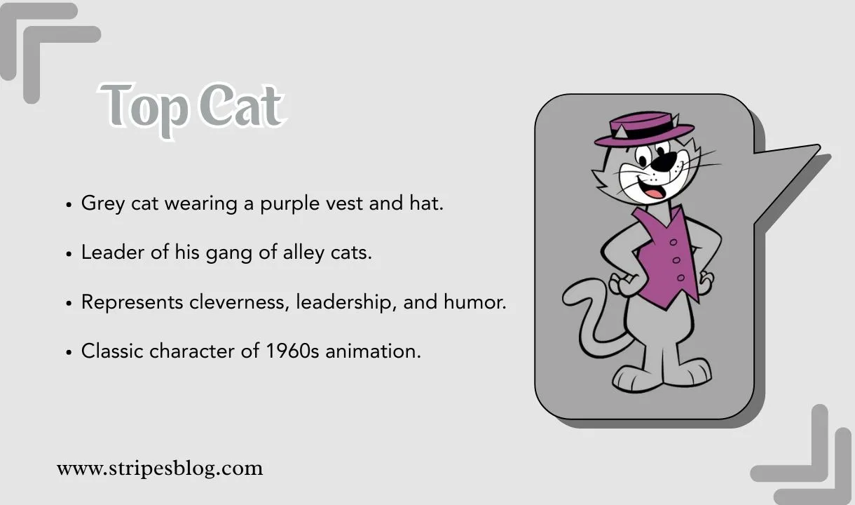 top cat facts