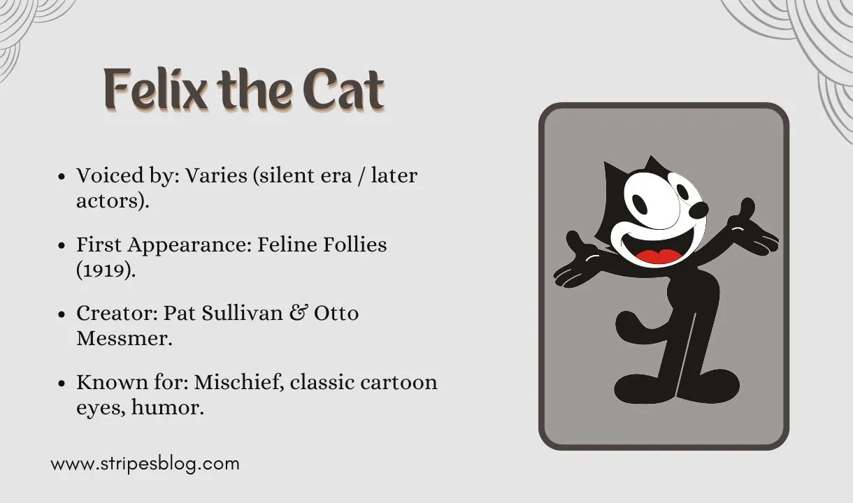 felix the cat facts