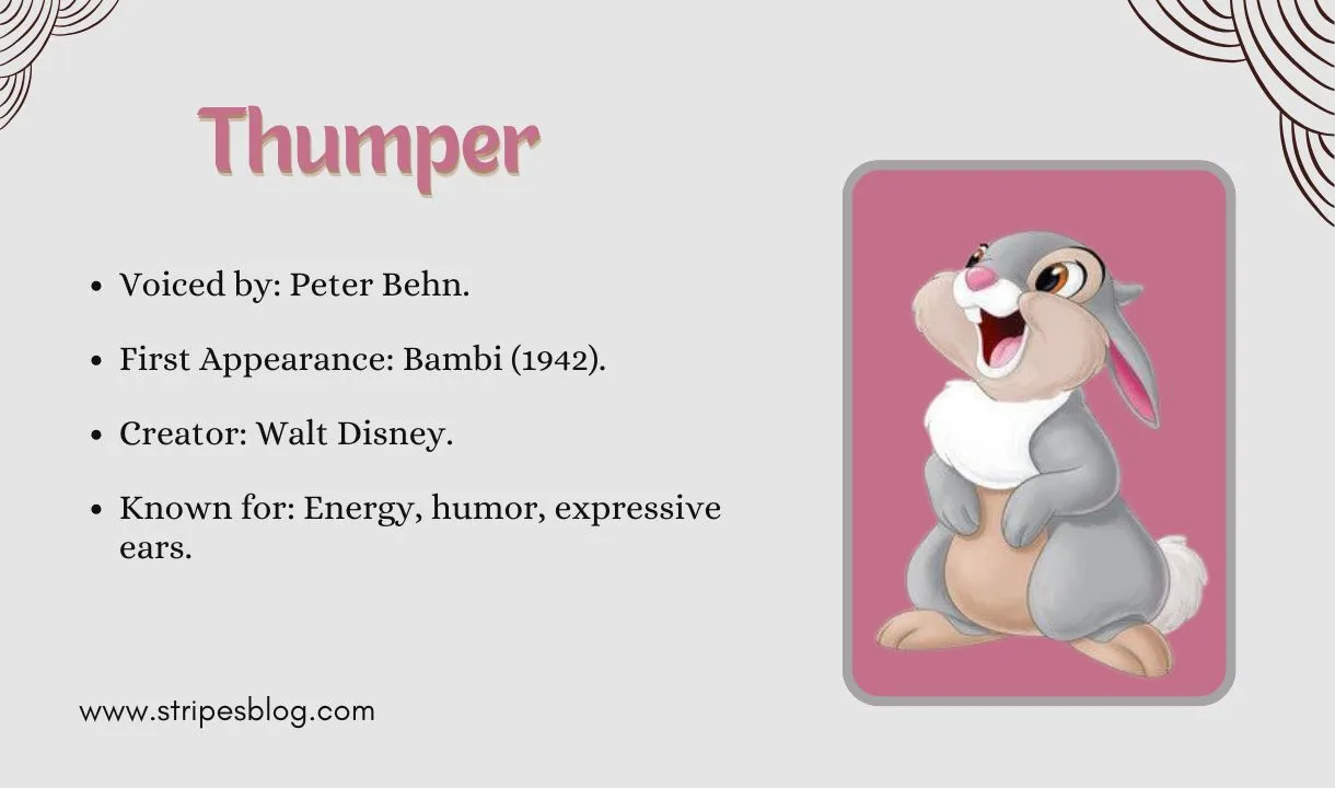 thumper facts