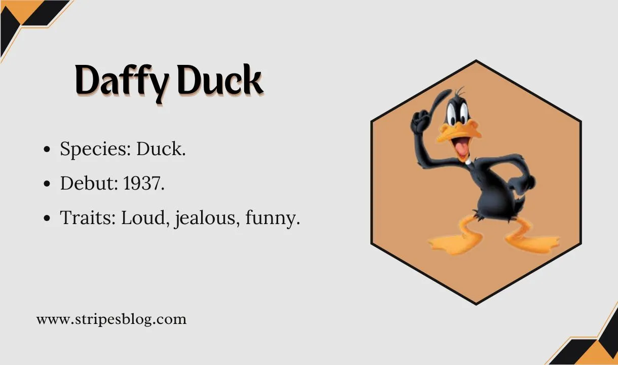 daffy duck facts