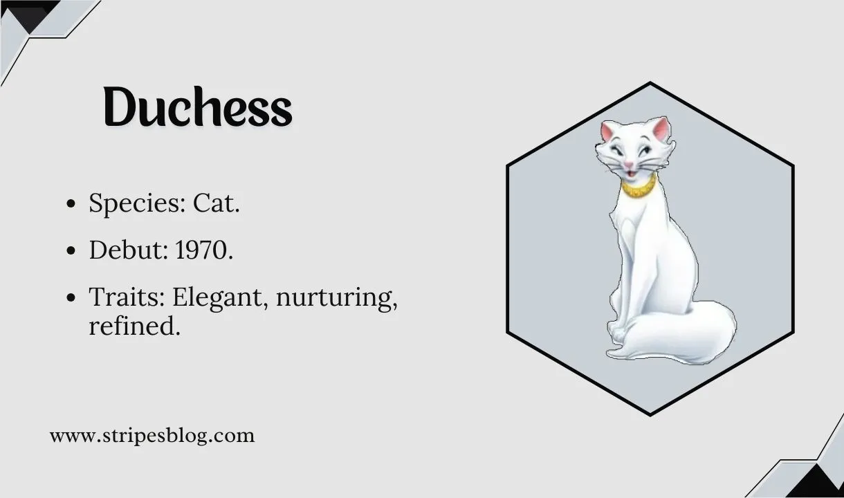 duchess facts