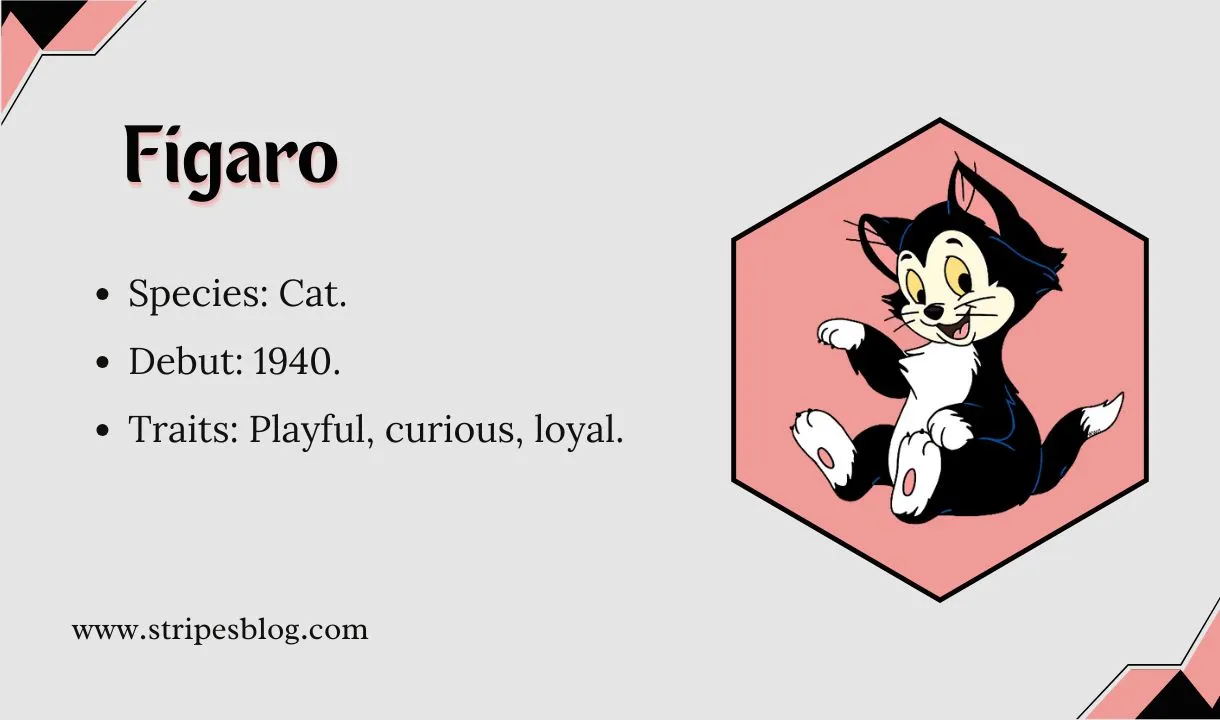 figaro facts