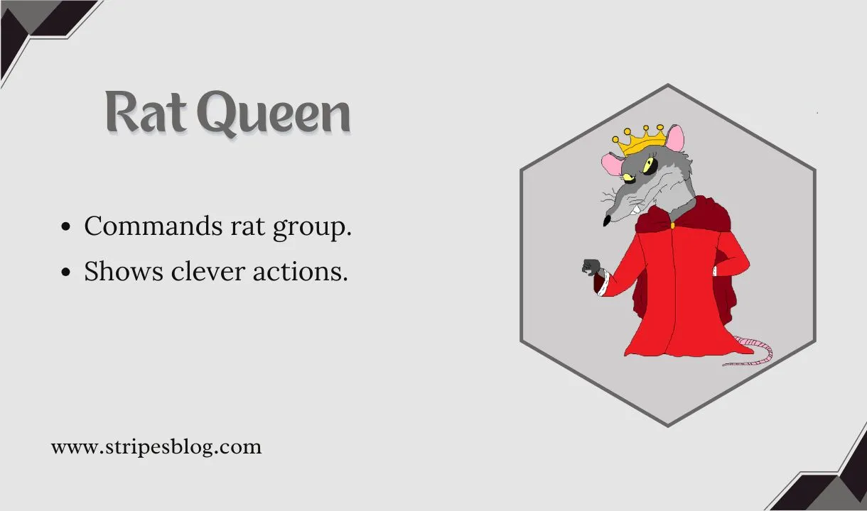 rat queen facts