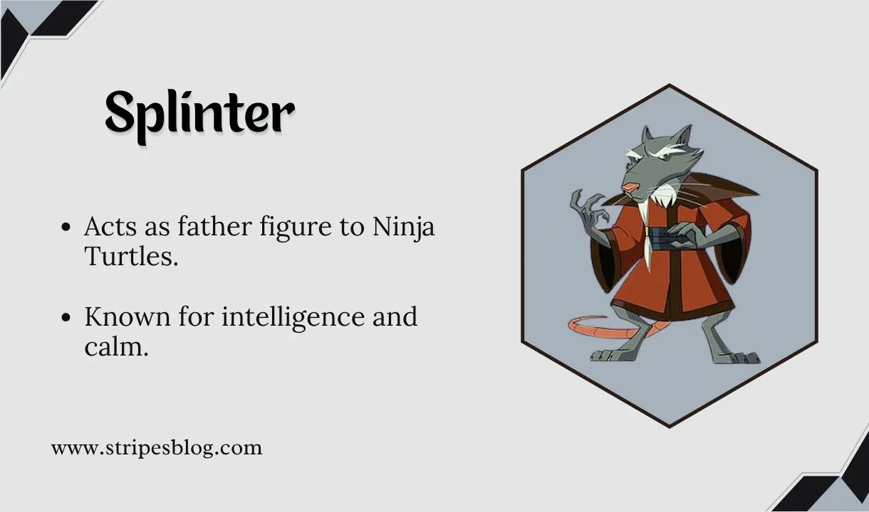 splinter facts