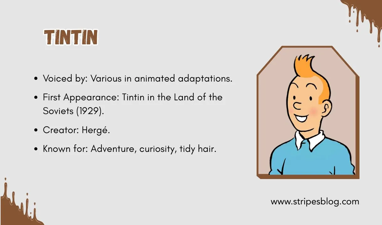 tintin facts