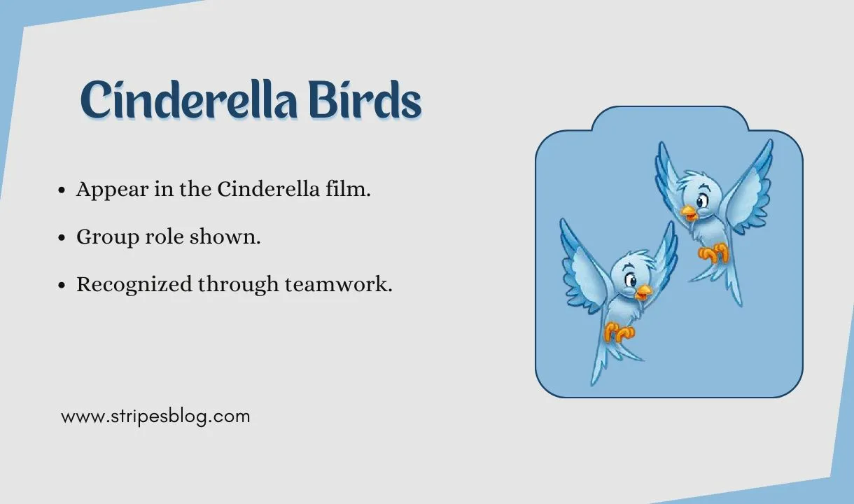 cinderella birds facts