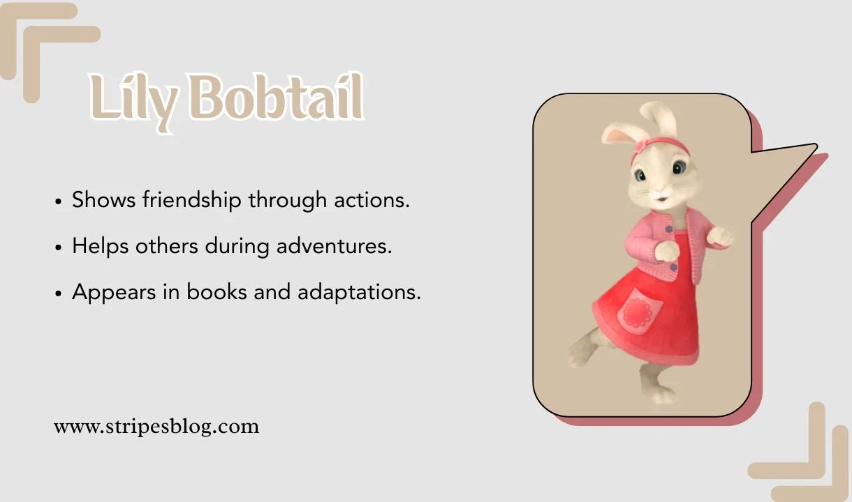 lily bobtail facts