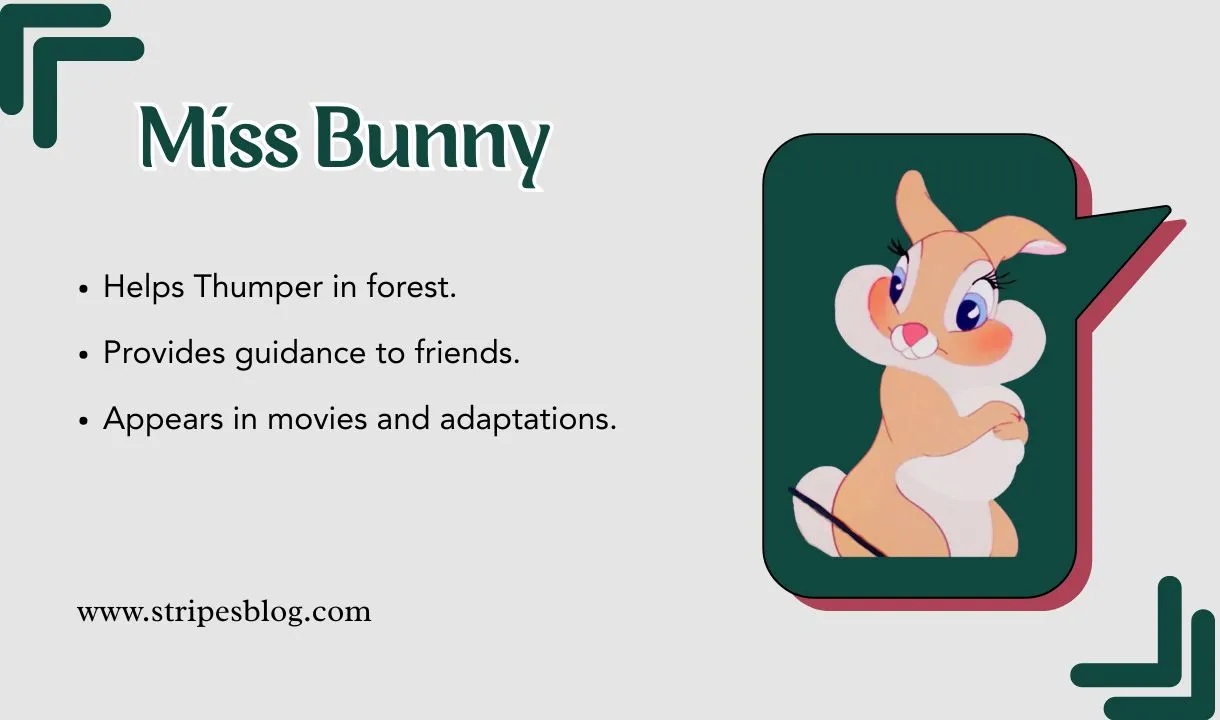 miss bunny facts