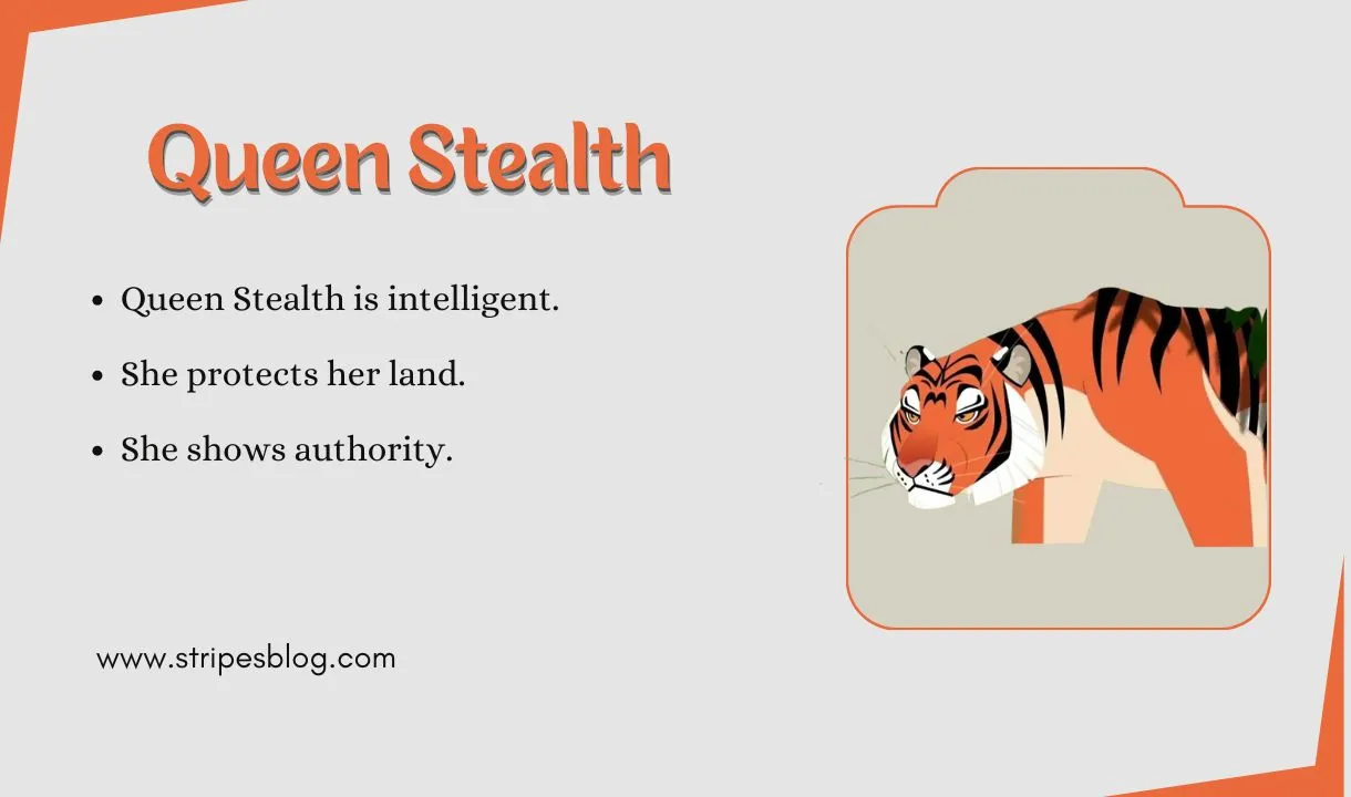 queen stealth facts