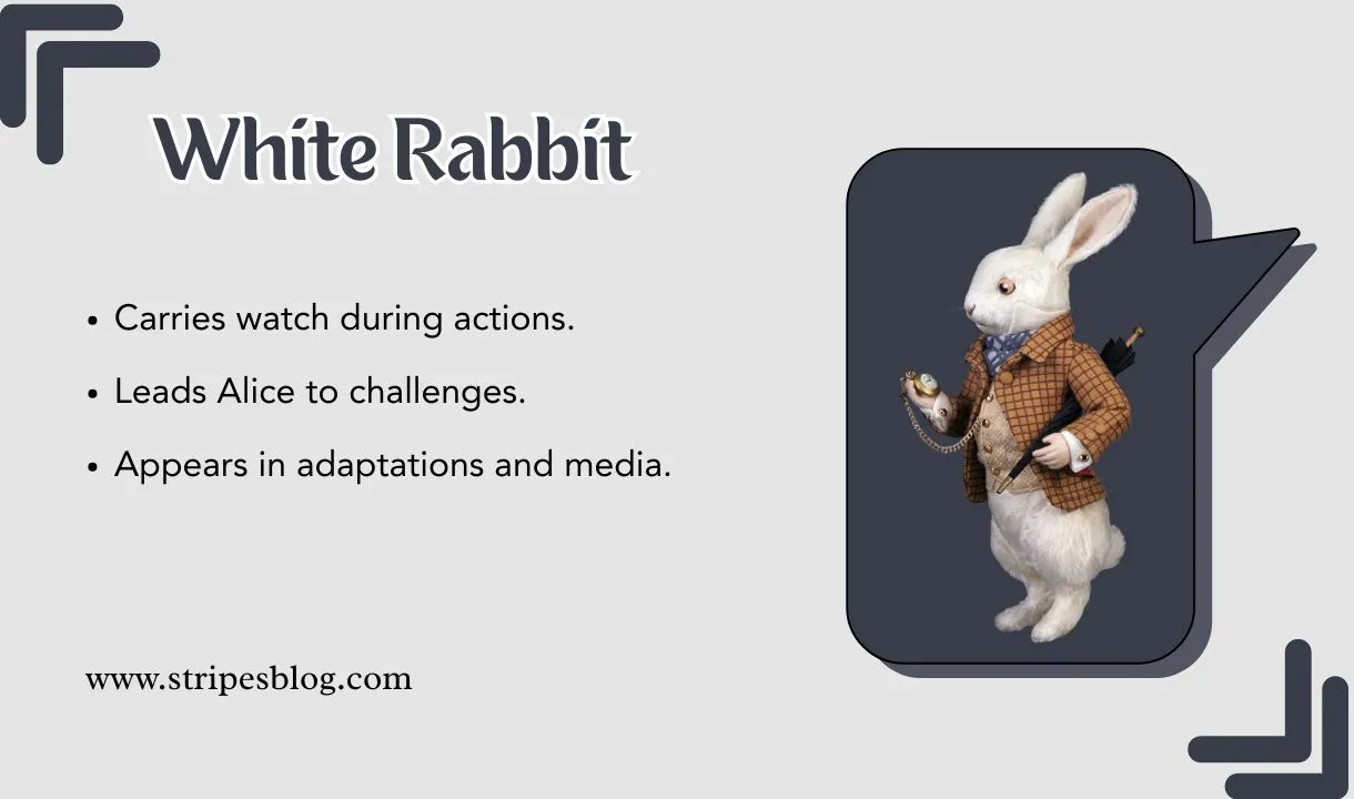 white rabbit facts